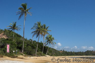 IMG_1989.jpg