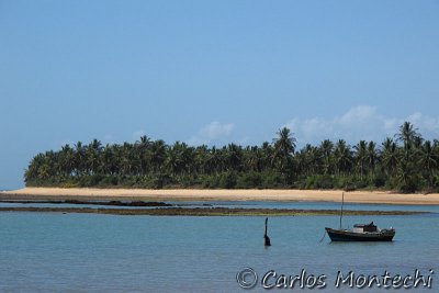 IMG_2025.jpg