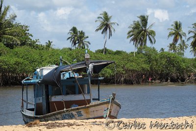 IMG_2041.jpg