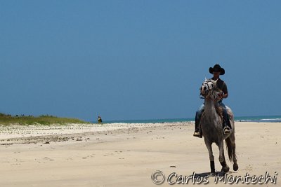 IMG_2049.jpg