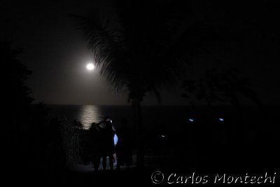 IMG_2129.jpg