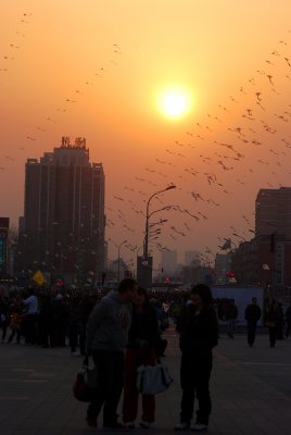 my last evening in beijing