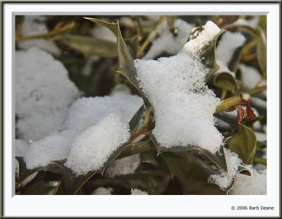 february_06_photo_of_the_day