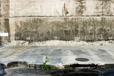 g3/75/536175/3/102773918.alzlYPTJ.jpg