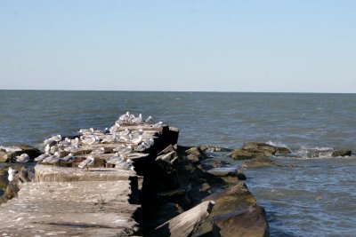 IMG_9367.JPG