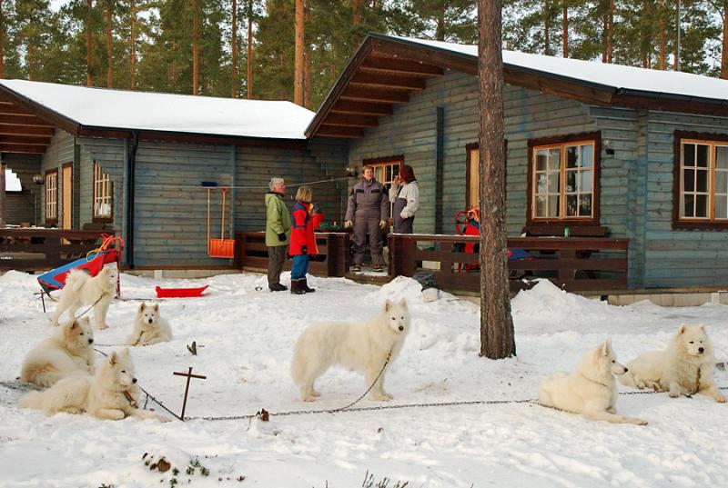 carsten and lottes cabin and dogs.jpg