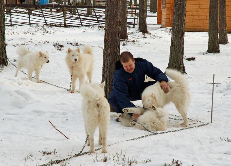 carsten petting some of my dogs.jpg