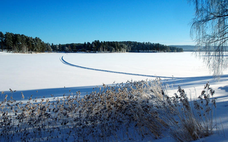 scooter track on the lake.jpg