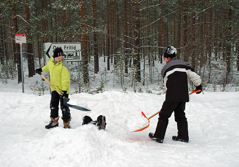 the children playing in the snow.jpg