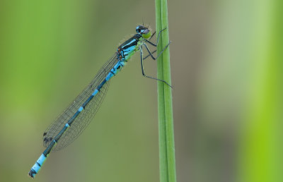 g3/75/583275/3/125321438.oMPG7EzG.jpg