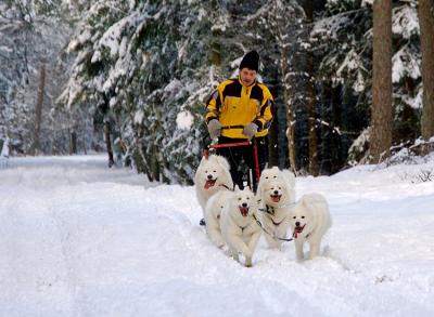 First sledding run this year.jpg