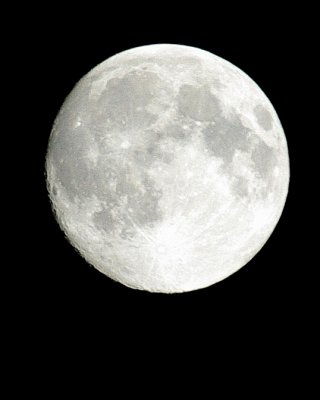 Harvest Moon - Oct 2007.JPG
