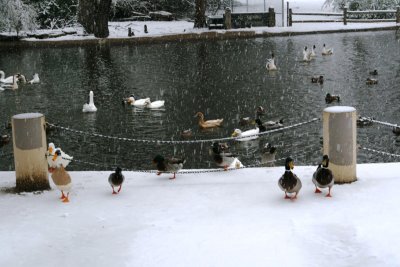 IMG_3062.jpg