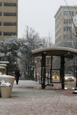 IMG_3080.jpg