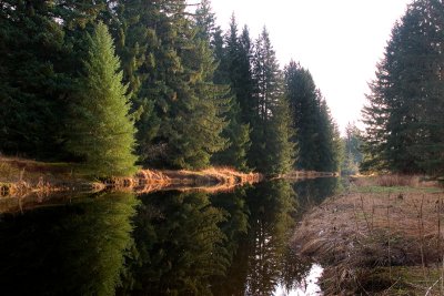 Peterson  creek layers_November 23