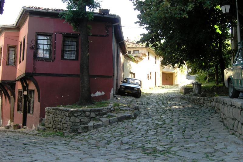 100_0319 copy.jpg