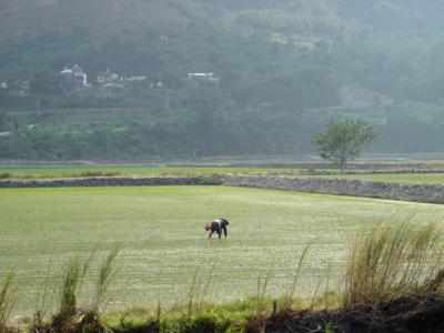 Taiwan Open_Tsk1 (20).JPG