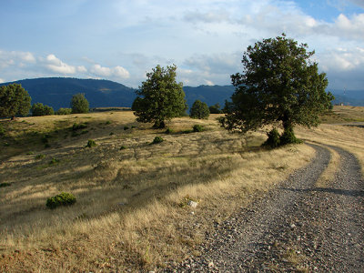 g3/75/620675/3/67160386.3kVlPfck.jpg