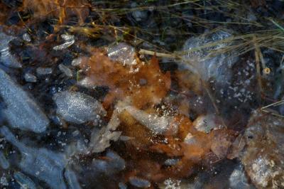 Ice Melt