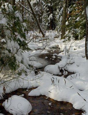 Winter Woodland Stream