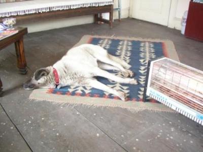 I love loafing around in the office!...