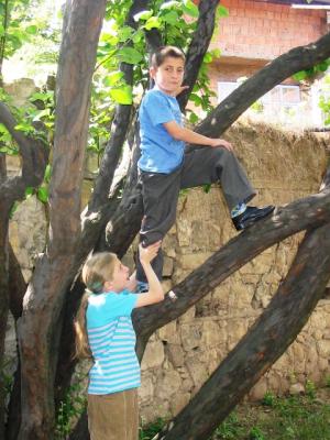 The tree climbers