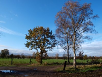 g3/75/644675/3/119650488.PIvLeSZp.jpg