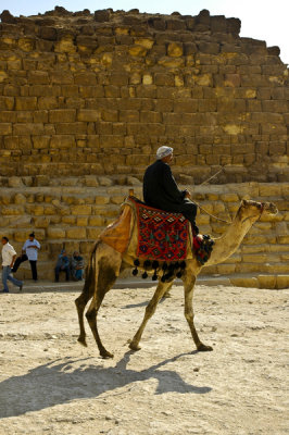 Pyramid-camelo