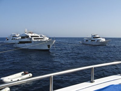 Big-Brother-barcos2