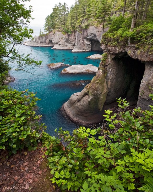 Cape Flattery III