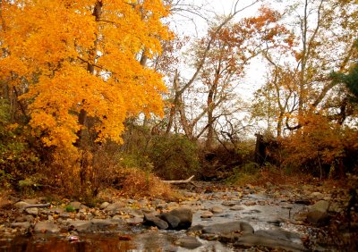 Thornton River
