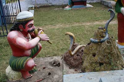 Naga Cult - Snake Worship - in Tamil Nadu, India