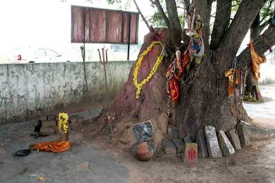 Snake shrine Om Sati between Mamallapuram and Kanchipuram. http://www.blurb.com/books/3782738