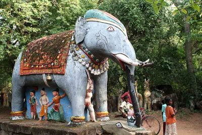 Elephant in Namana Samudram. http://www.blurb.com/books/3782738