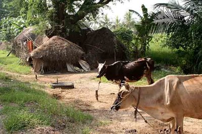 Near Chidambaram.