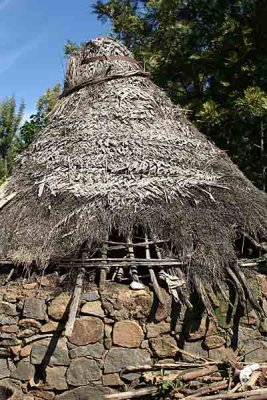 Deserted house in Thalai Solai, near Yercaud.