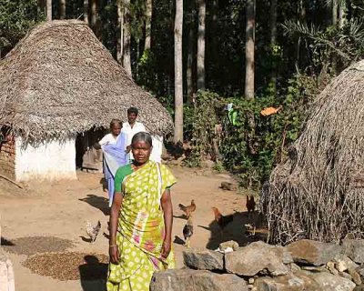 In the remote village Palakadu, Salem District.