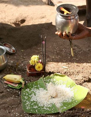Ritual for the anniversary of a fatherīs death in Srirangam, Tamil Nadu.