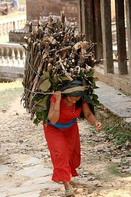 Carrying firewood in Bandipur, Nepal.