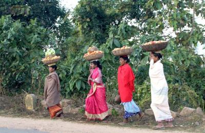India tribal Orissa, Transport