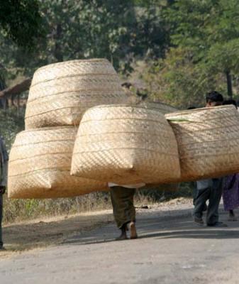 transport of baskets