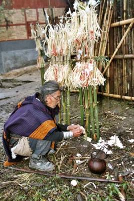 Myoko. Sacrifice of chickens and eggs. Apatani tribe