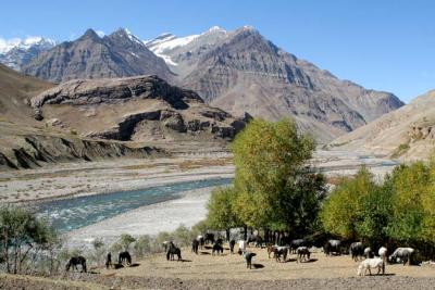 The Indian Himalayas