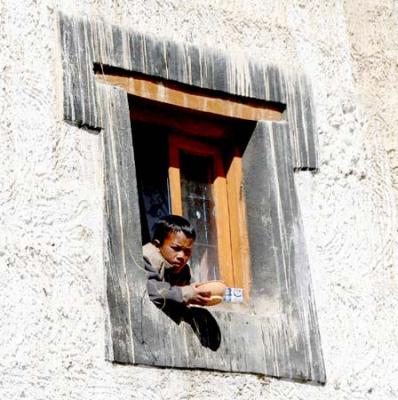Boy in a window in Kibber Spiti