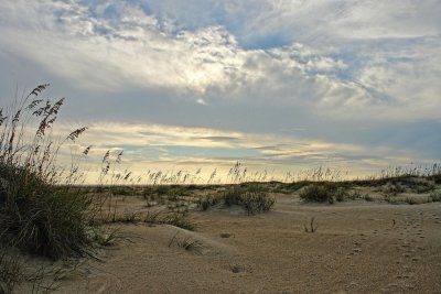evening in the dune field.jpg