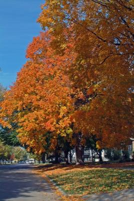 Around the Area -- Fall, 2004