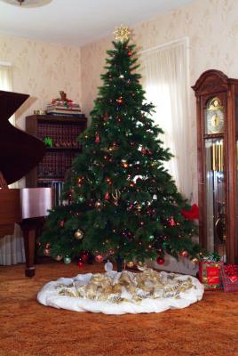 The Christmas Tree - 2005