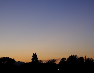 After the Occultation of the Moon and Venus