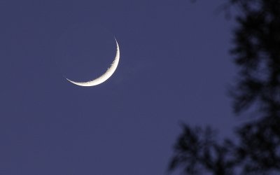 Sliver of a Moon