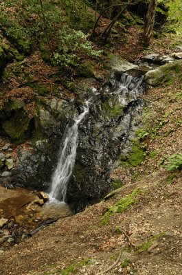 Upper Falls